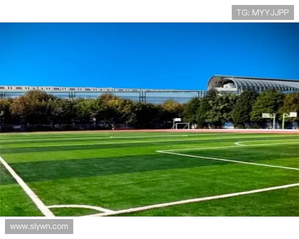 以运动为核心探索健康生活方式与身心平衡的全面发展路径