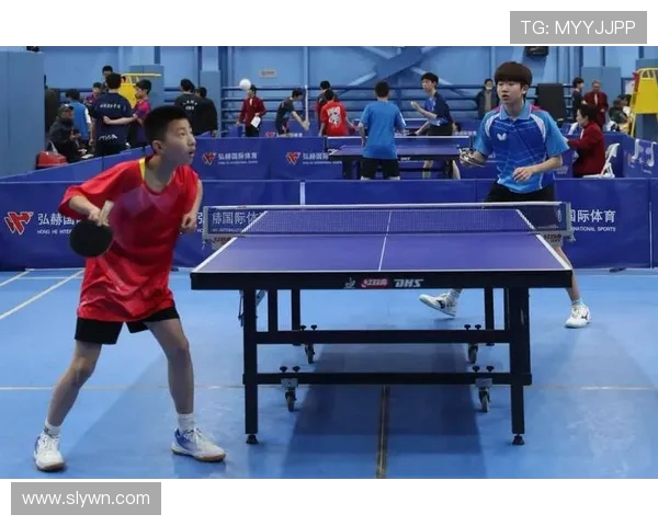 乒乓球激发全民运动热情推动健康中国建设新路径探索实践方案研究析