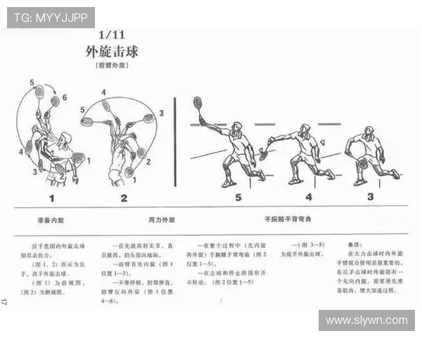 网球运动的魅力与挑战全面解析从竞技精神到健康生活的深度探讨