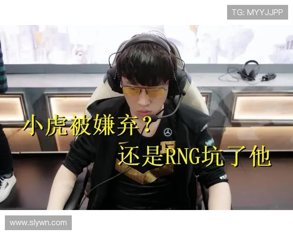 CSGO热议RNG战队意识问题引发玩家热烈讨论与反思