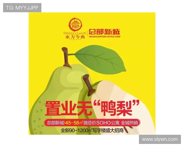 从零起步滑板比赛全攻略助你轻松赢得胜利与自信