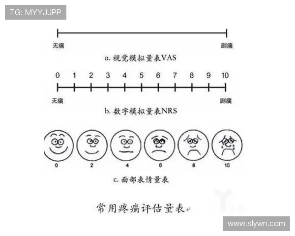 广州飞盘队灵活性分析与表现评估探讨
