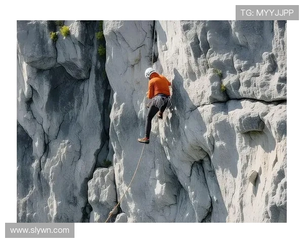 武汉攀岩队的节奏与热情：聚焦攀岩运动的魅力与挑战