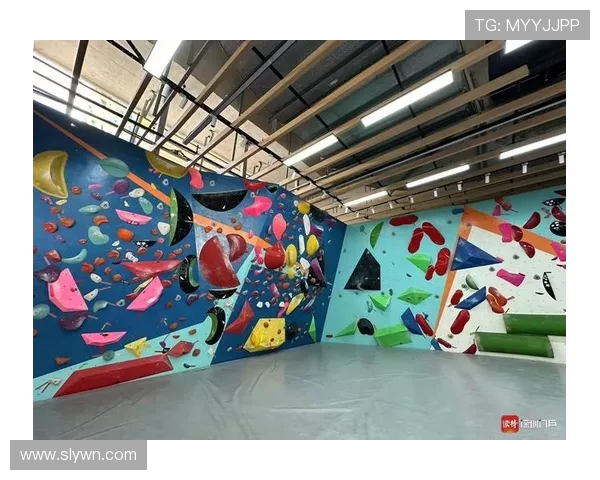 深圳攀岩队边路渗透战术分析及其成败得失探讨 深圳攀岩队边路渗透战术分析及其成败得失探讨