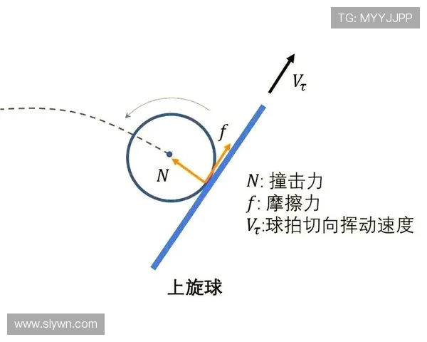 乒乓球的魅力与技巧：从基础训练到国际赛事的全面解析