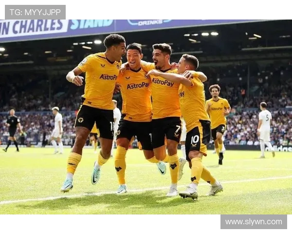 切尔西与狼队精彩对决视频回顾黑白版全景呈现