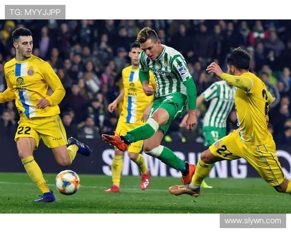 博尔顿与西布罗姆维奇的精彩对决揭示英冠联赛的竞争魅力与球队实力较量