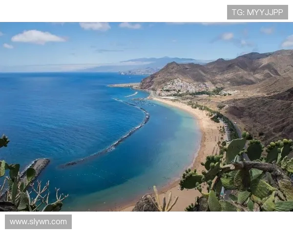 哥斯达黎加与百慕大精彩对决分析及赛前预测